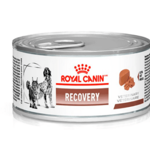 Ração Úmida Royal Canin Veterinary Recovery para Cães e Gatos em Recuperação 195 g